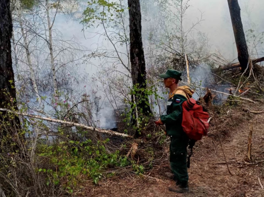 Два лесных пожара ликвидировали и четыре локализовали за текущие сутки в Забайкалье